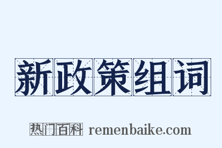 新政策组词是什么意思的图片